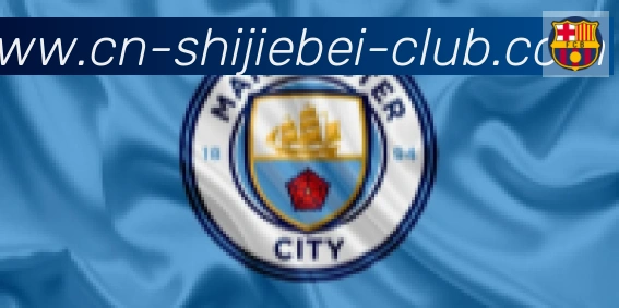2026世界杯下注入口合作伙伴